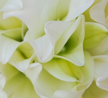 Hochzeit